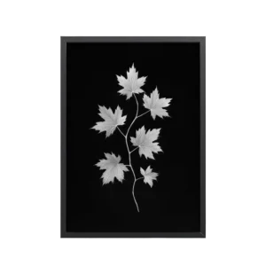 Ivory Veins — Japandi Maple Line Art — Framed Poster