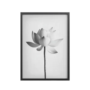 White Lotus Serenity — Monochrome Floral Study Wall Art — Framed Poster