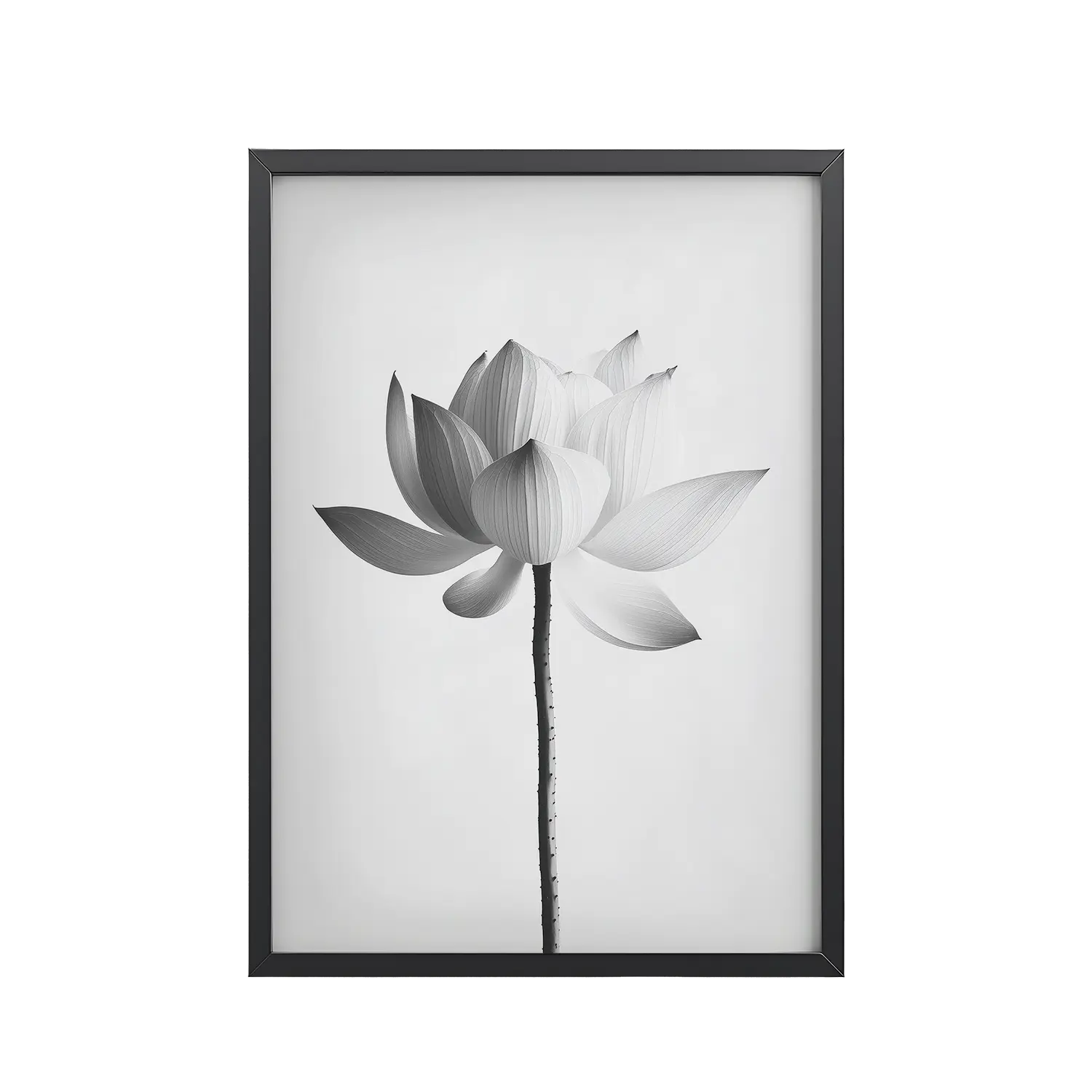 White Lotus Serenity — Monochrome Floral Study Wall Art — Framed Poster