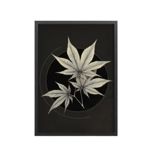 Crescent Maple Balance — Minimal Leaf Wall Art — Framed Poster
