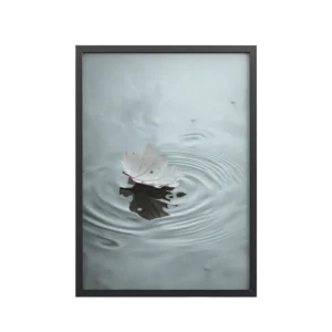 Floating Stillness — Leaf on Water Wall Decor — Framed Poster