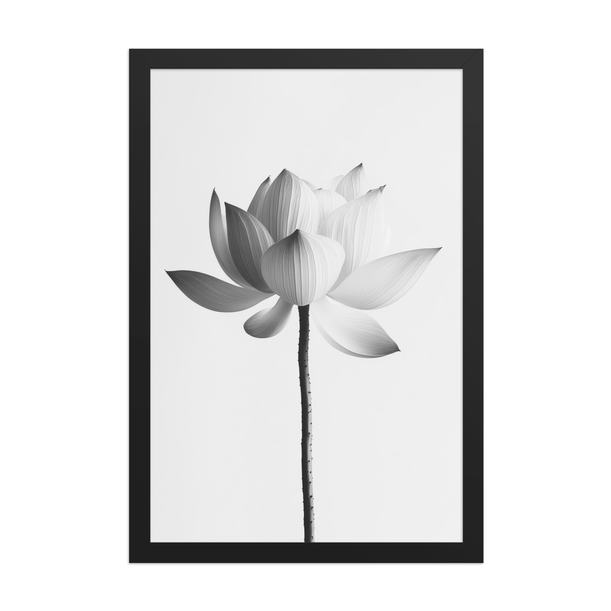 White Lotus Serenity — Monochrome Floral Study Wall Art — Framed Poster - Image 5