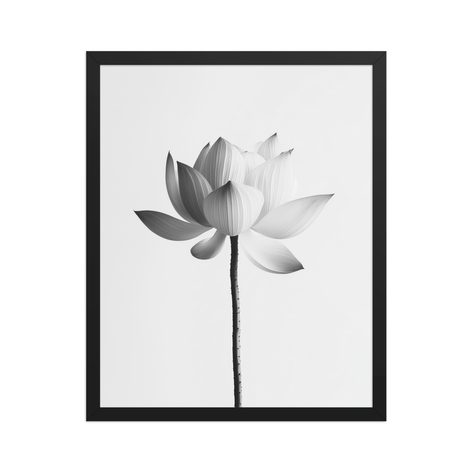 White Lotus Serenity — Monochrome Floral Study Wall Art — Framed Poster - Image 6