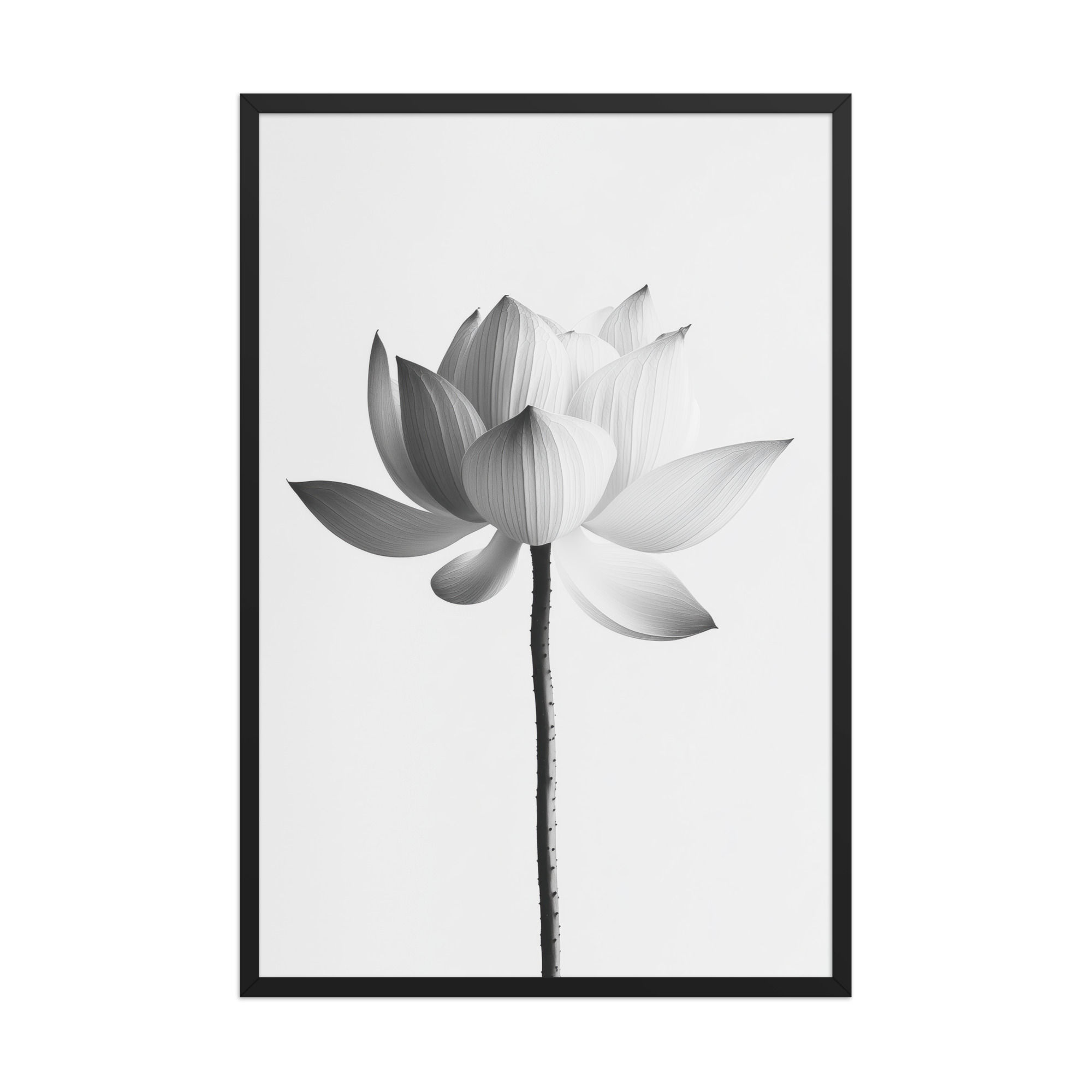 White Lotus Serenity — Monochrome Floral Study Wall Art — Framed Poster - Image 8