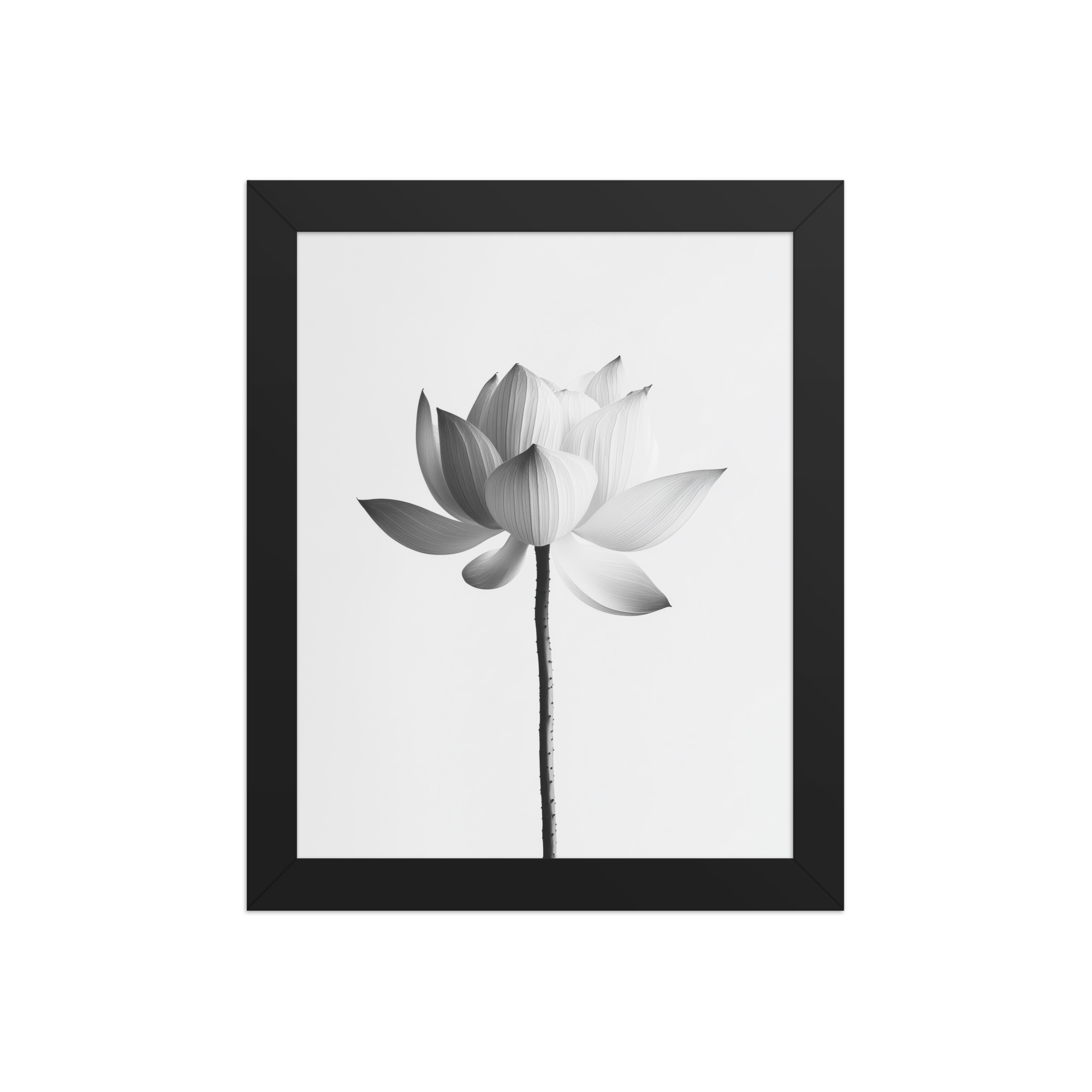 White Lotus Serenity — Monochrome Floral Study Wall Art — Framed Poster - Image 2
