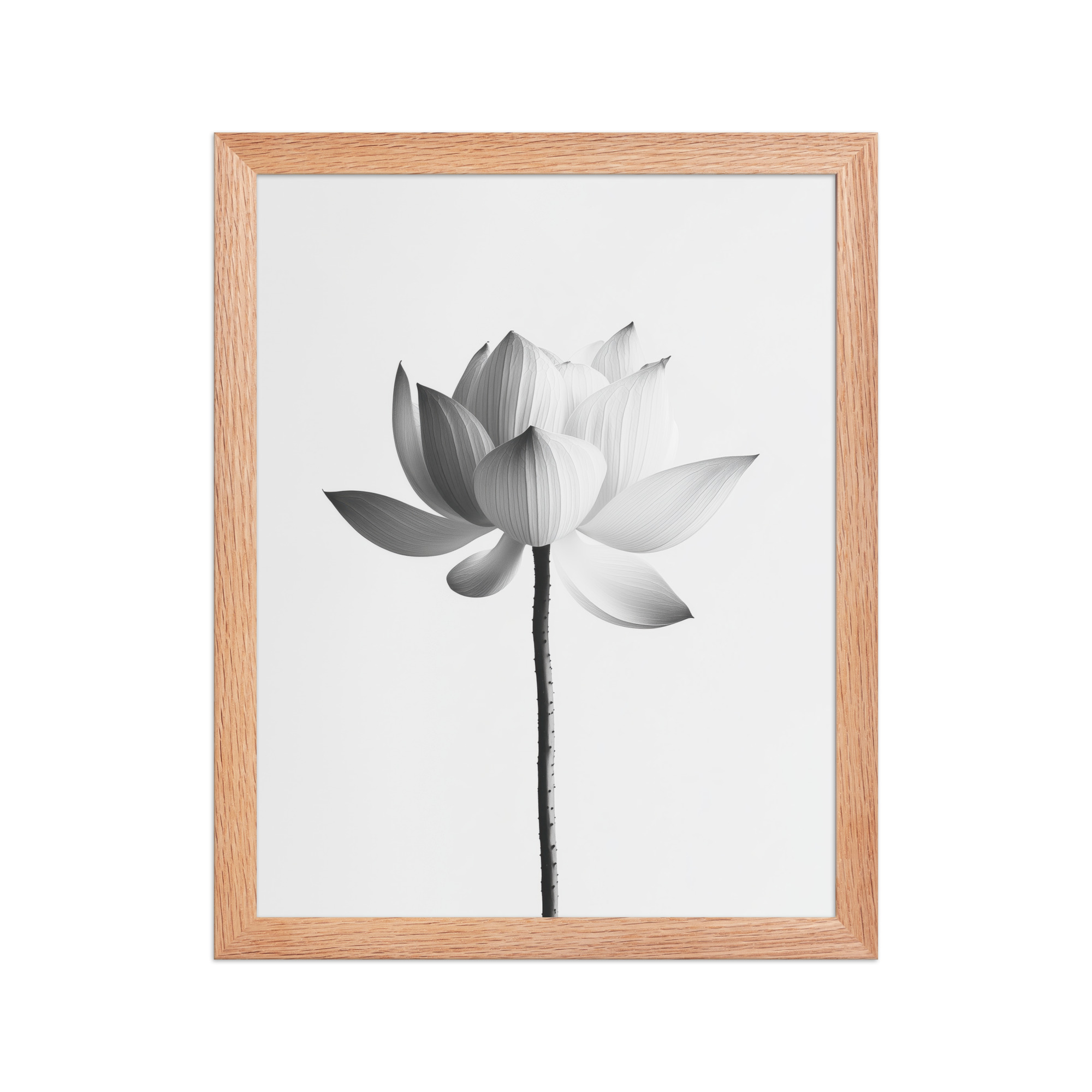 White Lotus Serenity — Monochrome Floral Study Wall Art — Framed Poster - Image 10