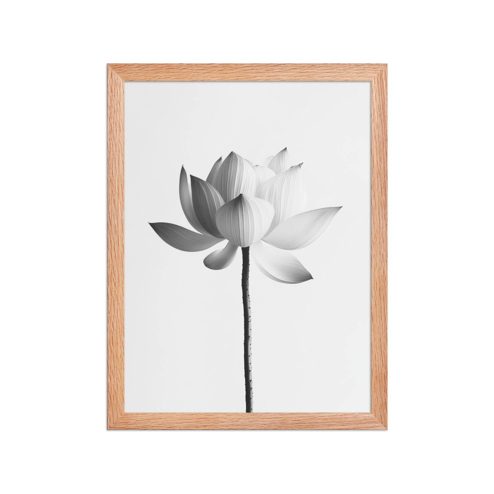 White Lotus Serenity — Monochrome Floral Study Wall Art — Framed Poster - Image 11
