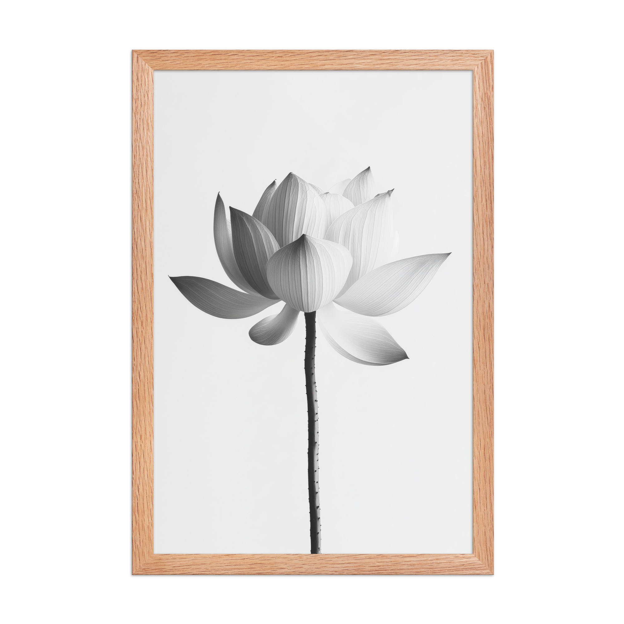 White Lotus Serenity — Monochrome Floral Study Wall Art — Framed Poster - Image 12