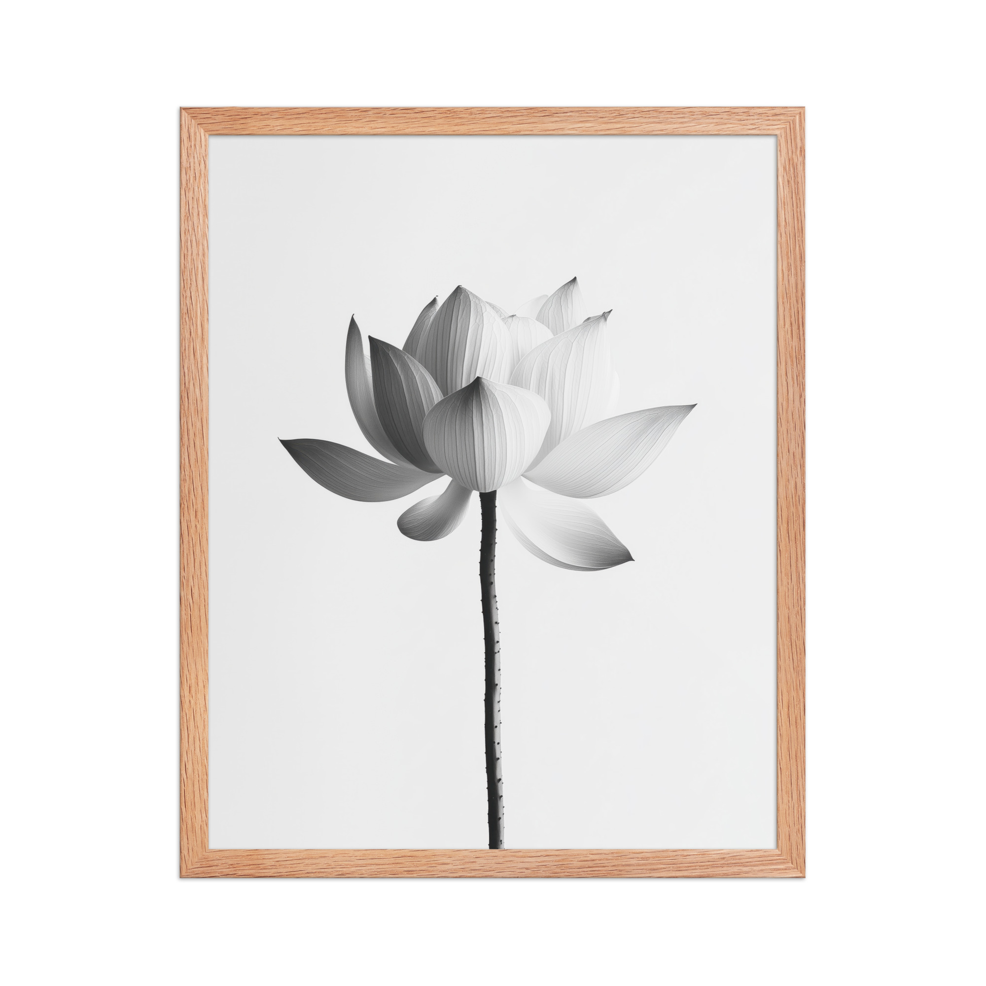 White Lotus Serenity — Monochrome Floral Study Wall Art — Framed Poster - Image 13