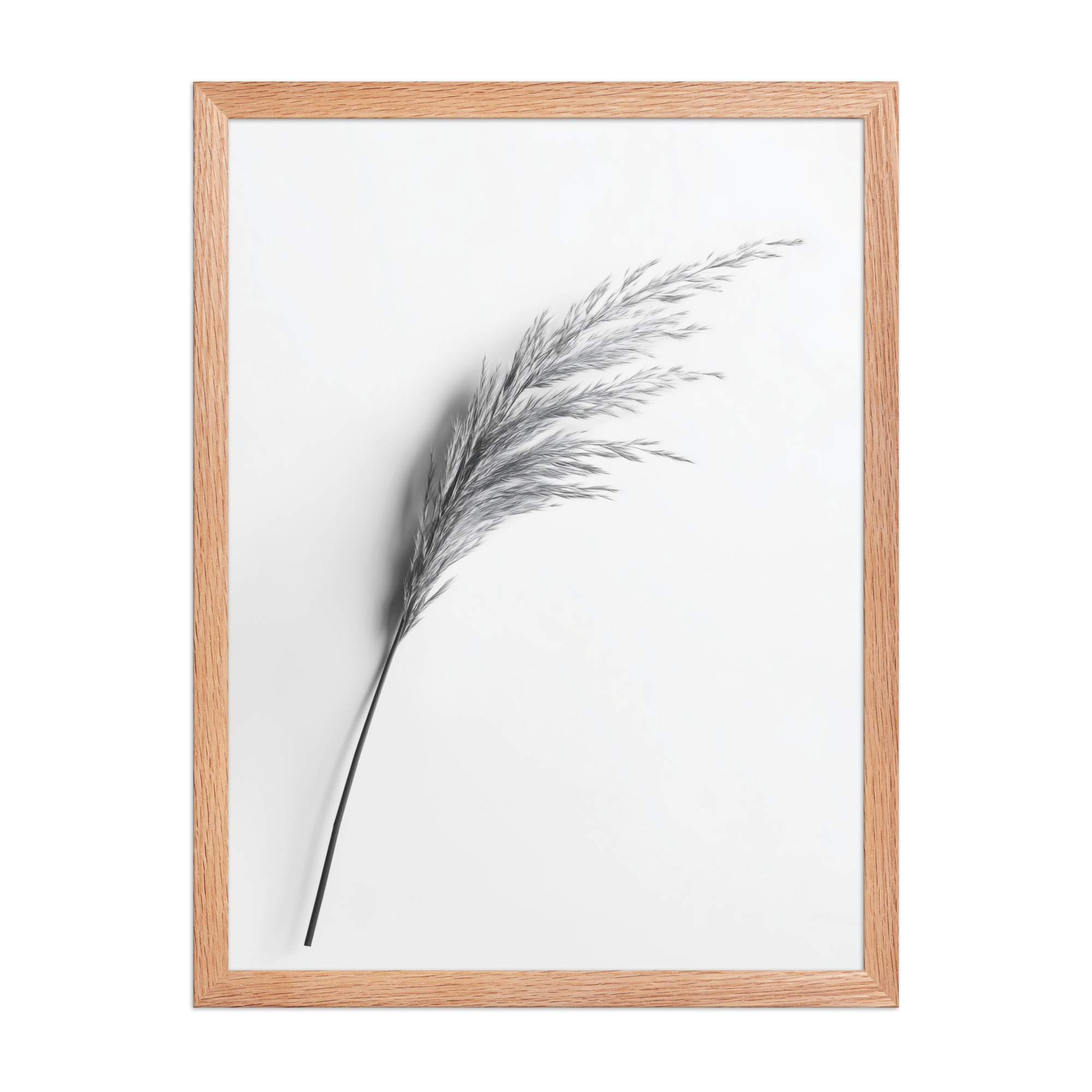 Whispering Pampas — Minimal Black & White Botanical Wall Decor — Framed Poster - Image 14
