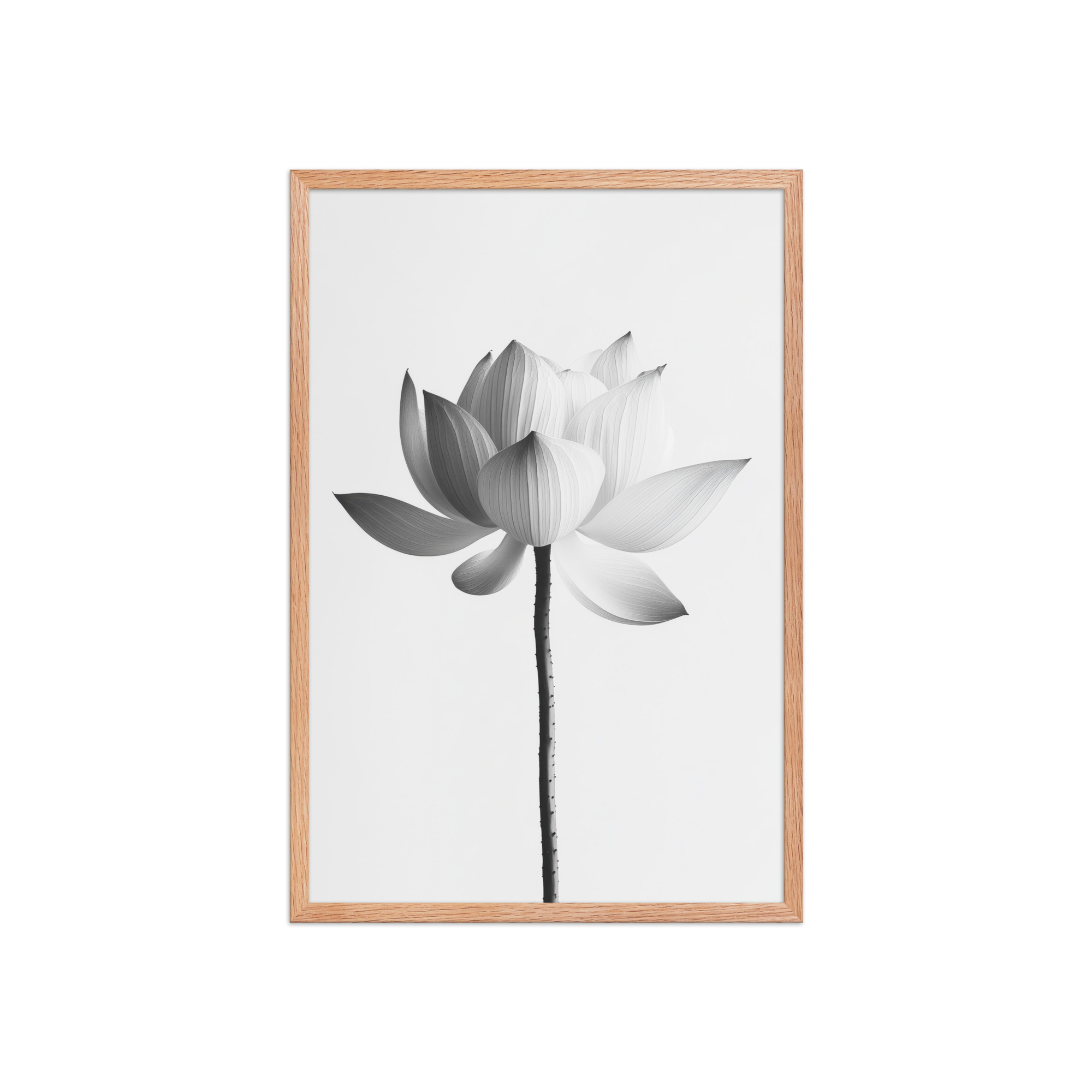 White Lotus Serenity — Monochrome Floral Study Wall Art — Framed Poster - Image 15