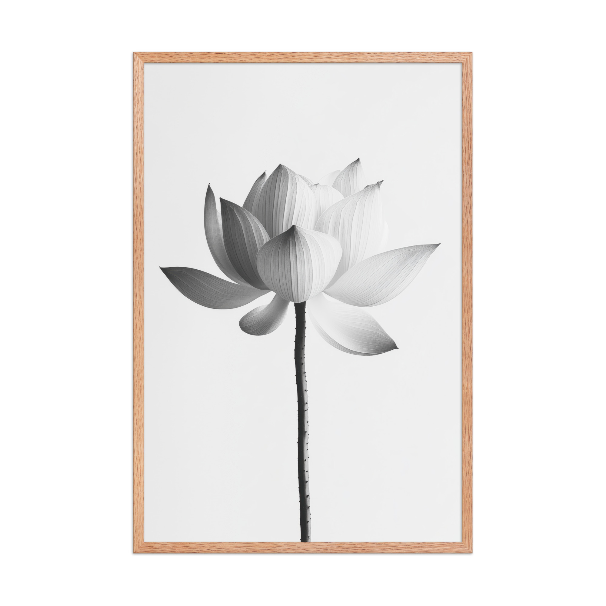 White Lotus Serenity — Monochrome Floral Study Wall Art — Framed Poster - Image 16