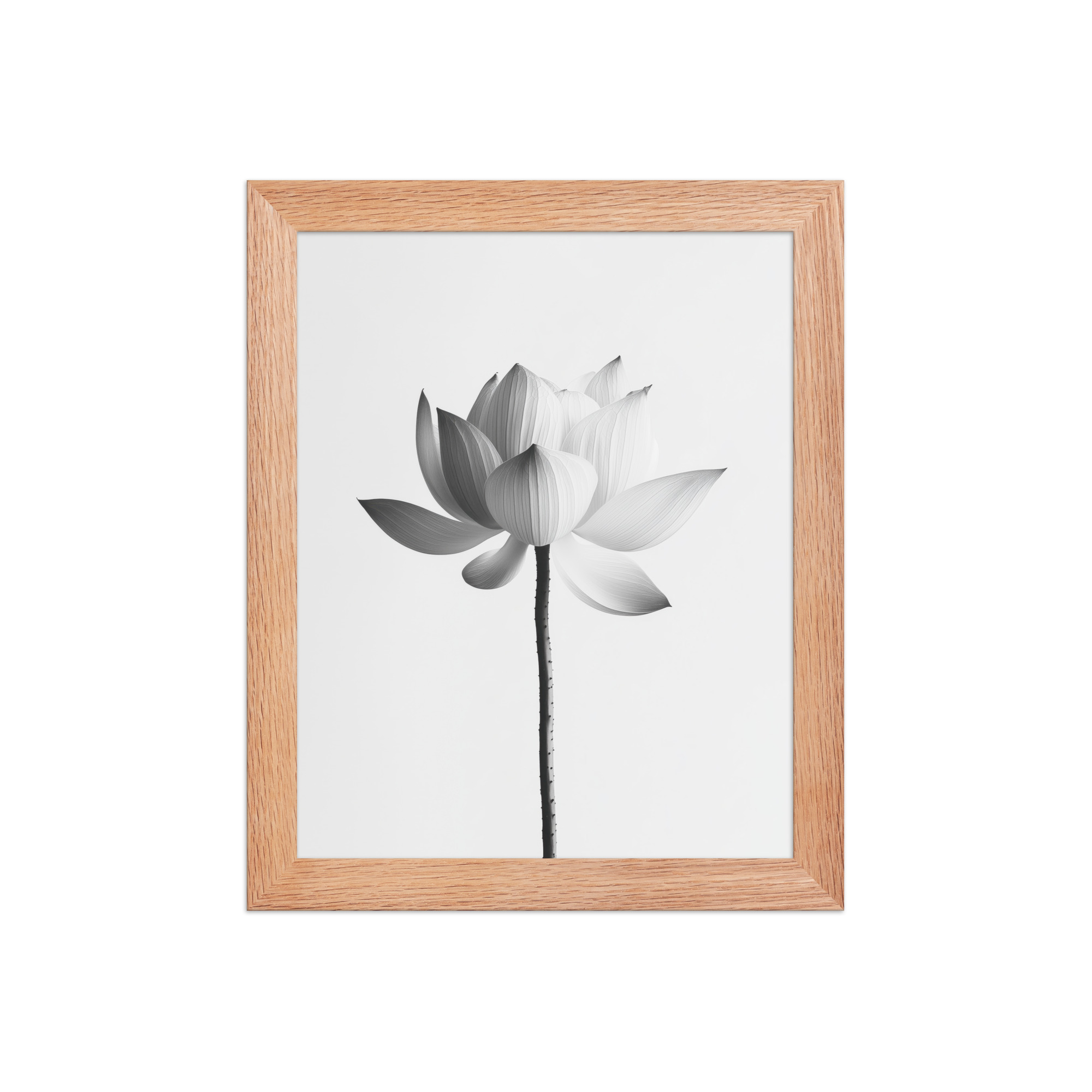 White Lotus Serenity — Monochrome Floral Study Wall Art — Framed Poster - Image 9