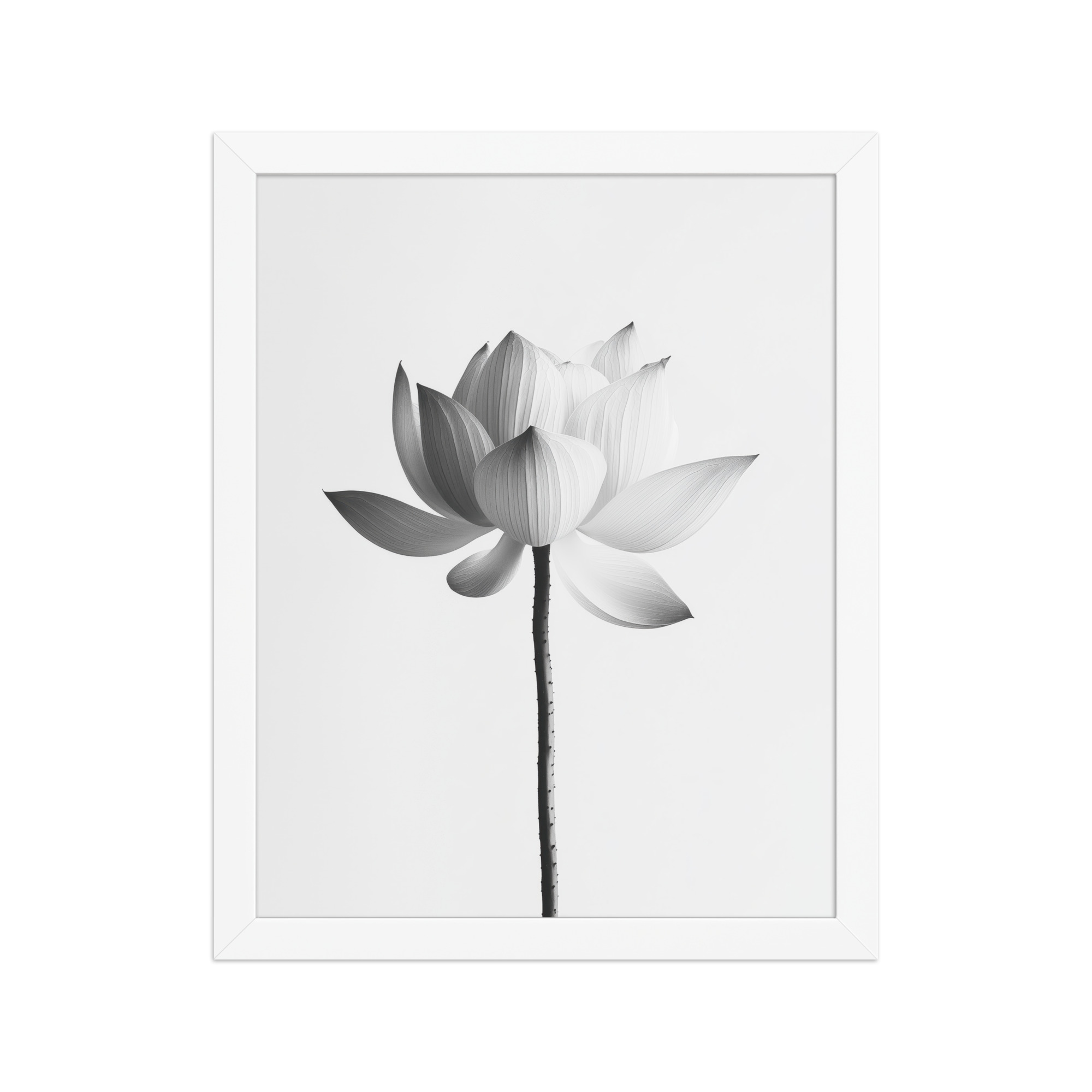 White Lotus Serenity — Monochrome Floral Study Wall Art — Framed Poster - Image 18