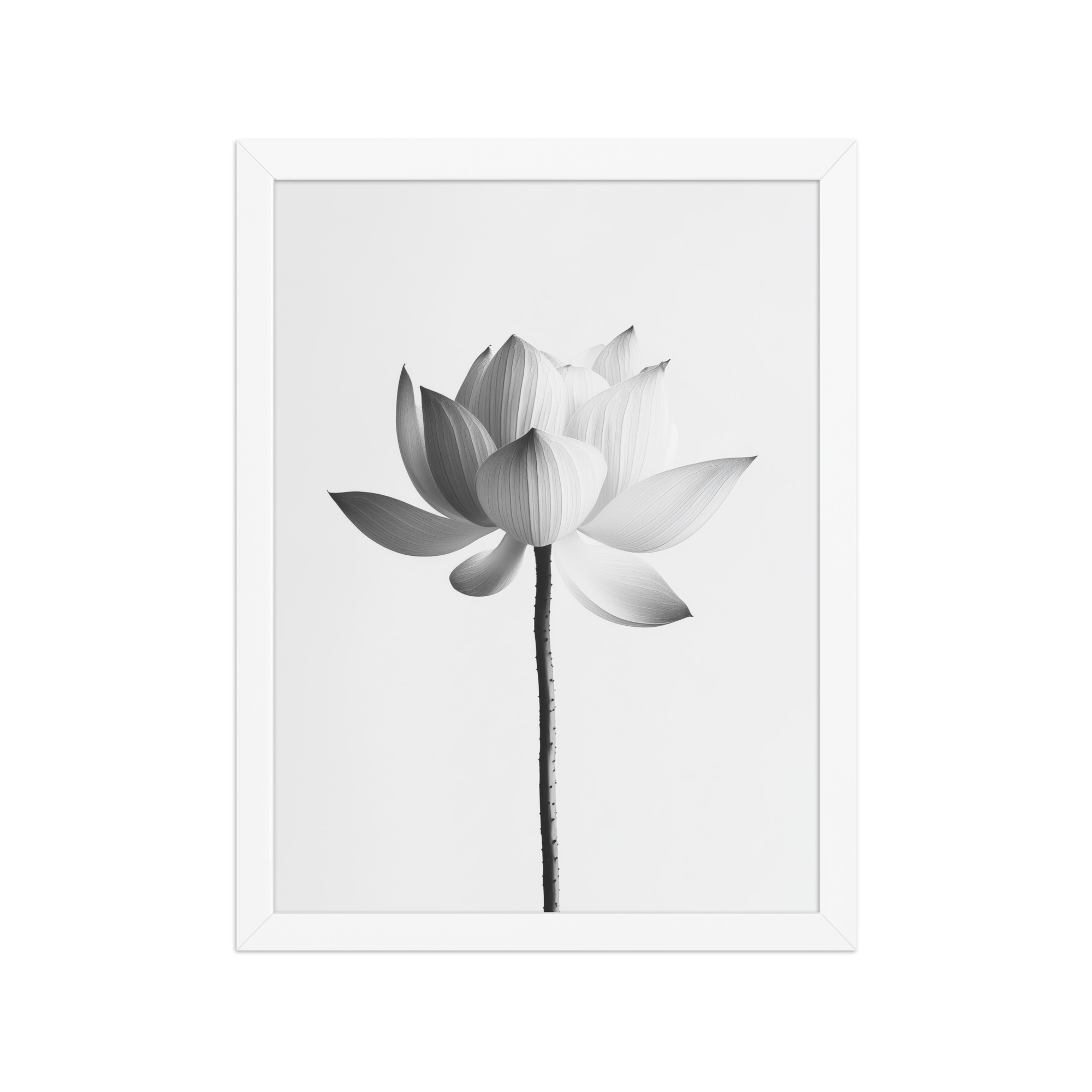 White Lotus Serenity — Monochrome Floral Study Wall Art — Framed Poster - Image 19