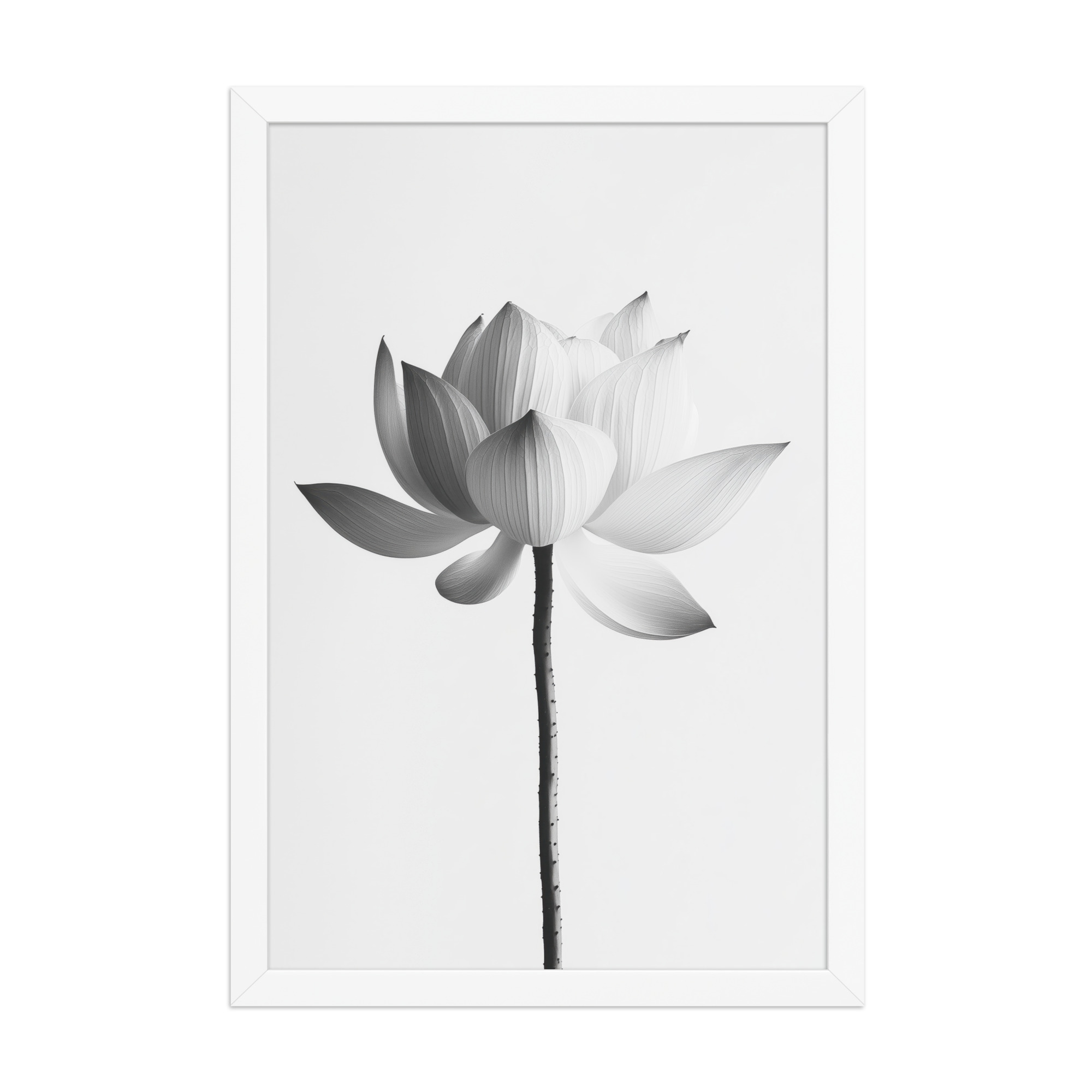 White Lotus Serenity — Monochrome Floral Study Wall Art — Framed Poster - Image 20