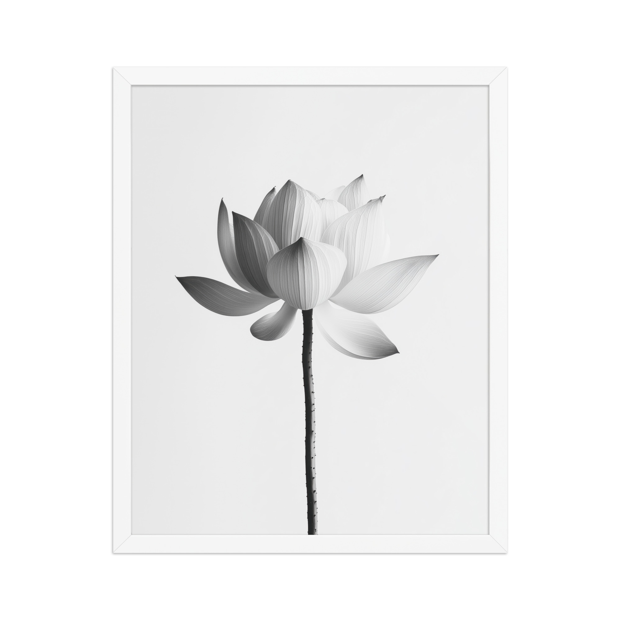 White Lotus Serenity — Monochrome Floral Study Wall Art — Framed Poster - Image 21