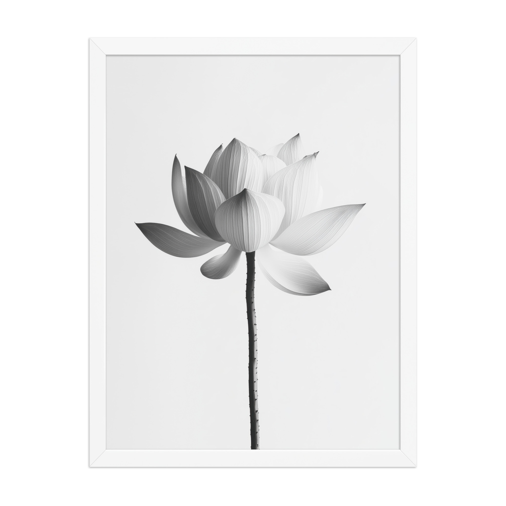 White Lotus Serenity — Monochrome Floral Study Wall Art — Framed Poster - Image 22