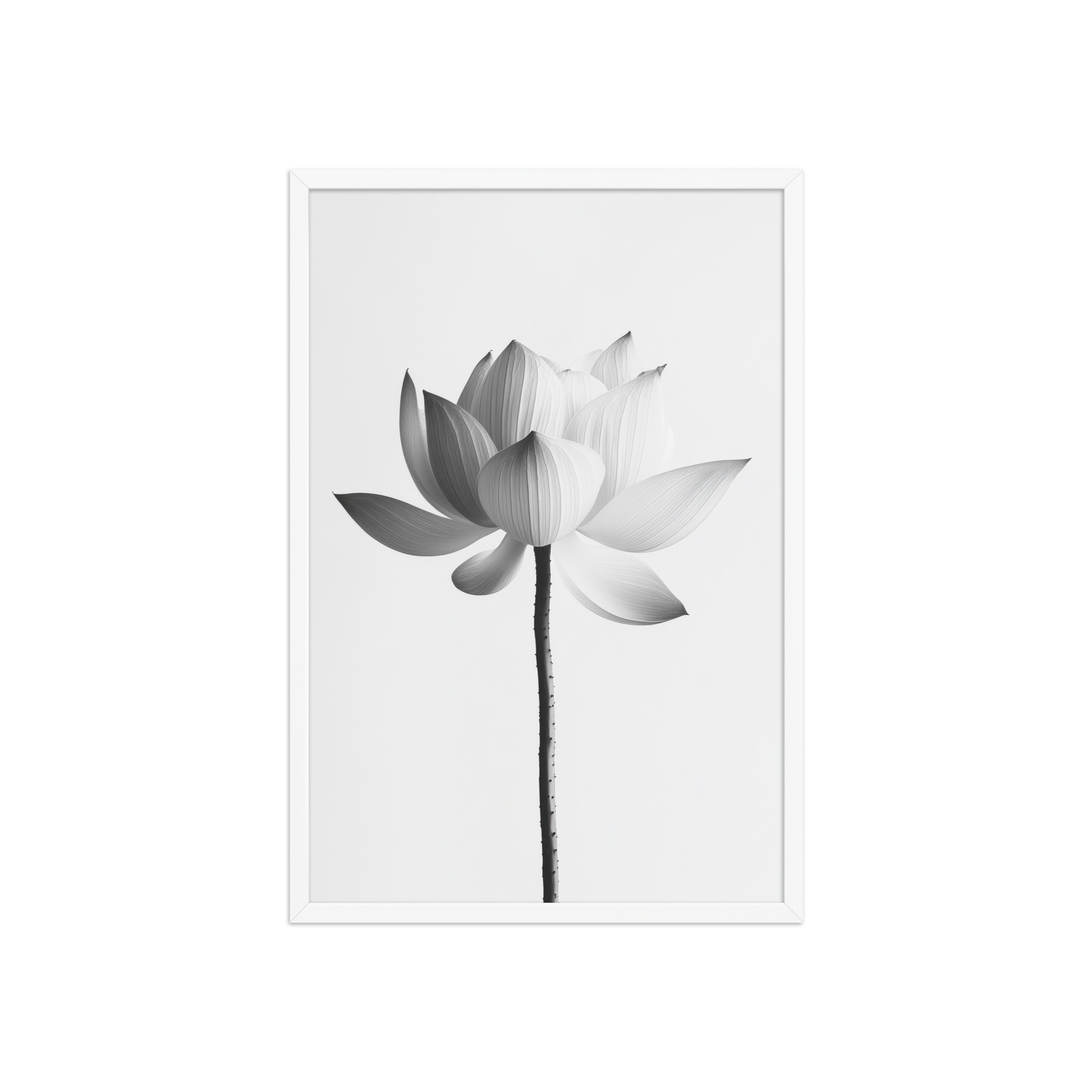 White Lotus Serenity — Monochrome Floral Study Wall Art — Framed Poster - Image 23
