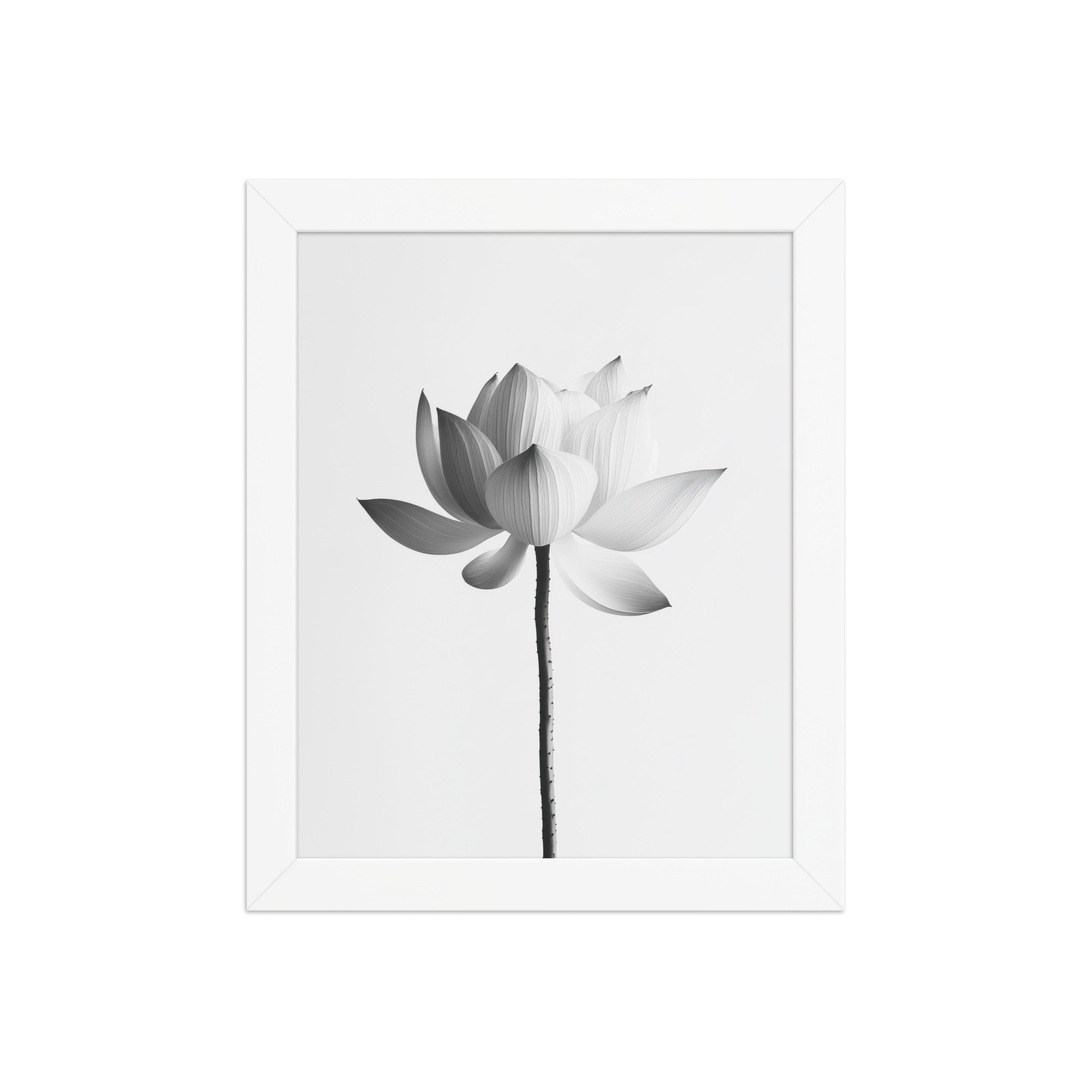 White Lotus Serenity — Monochrome Floral Study Wall Art — Framed Poster - Image 17