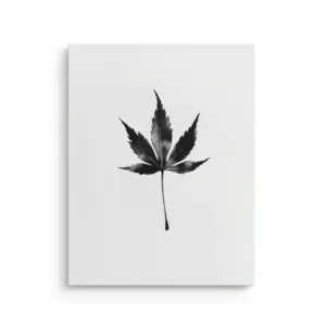 Japanese maple leaf in black ink wash on white background thin canvas wall art