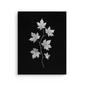 Ivory Japanese maple leaf line art in ivory on black background thin canvas wall art