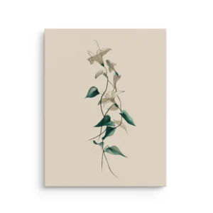 Minimalist lily botanical line art with teal leaves on beige background thin canvas wall art