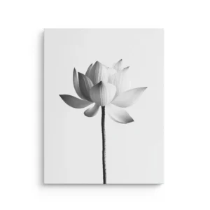 Minimalist white lotus flower in soft black and white tones with a single dark stem on a clean light background printed on premium thin canvas wall art.