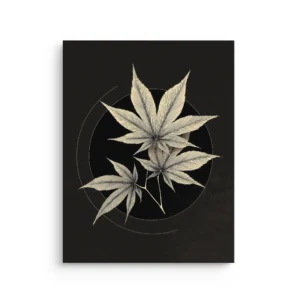 Crescent Maple Balance Japanese maple leaves on black with crescent lines thin canvas wall art